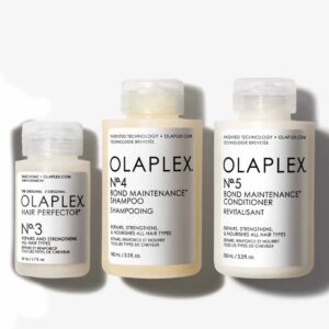 Olaplex Hello Healthy Hair Starter Kit