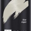 Lisap Re.Foam Color Mousse Zilver 200ml