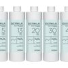OXIDATIEMIDDEL ARTEGO OXYMILK BEAUTY FUSION 30 VOL 9%1000 ML