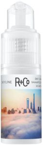 R+Co Skyline Dry Shampoo Powder – R+Co – bluemercury
