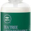 Paul Mitchell Lavender Mint Moisture Milk 100ml