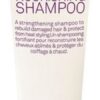 Eleven Repair My Hair Nourishing Shampoo 50ml