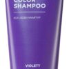 Alcina Color Shampoo Violett - Tonovaci Sampon Pro Blond Vlasy