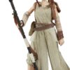 Star Wars Forces of Destiny Rey